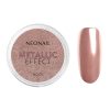 Prah za nokte Metallic Effect 05